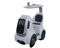 Driverless Vehicle